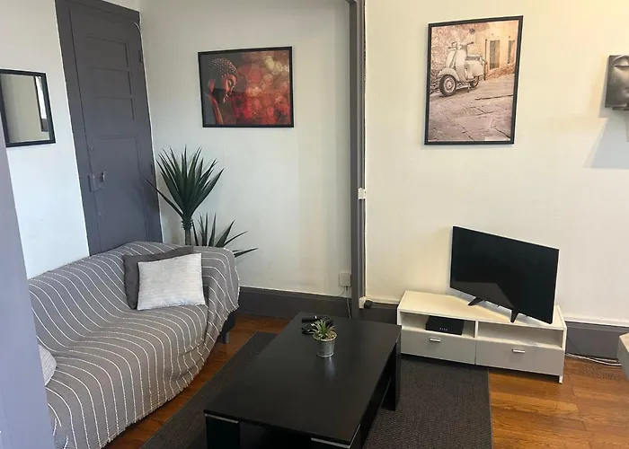 Spacieux Cosy - 1 - Perrache Confluence 50 M2 * 里昂